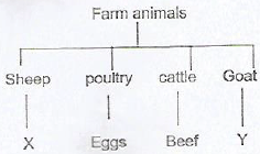 chart animals