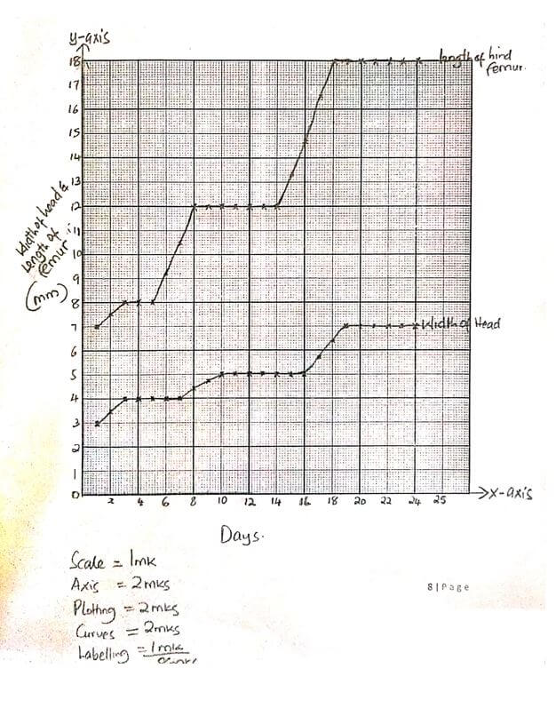 filled graph auydfa