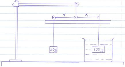 section c ada