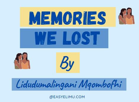 memories we lost
