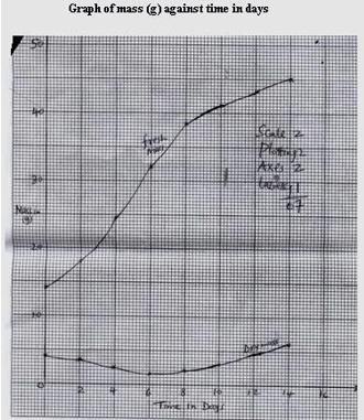 ANS GRAPH JGYAD