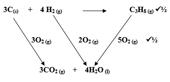 q12 jagduya