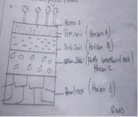 mature soil profile agda