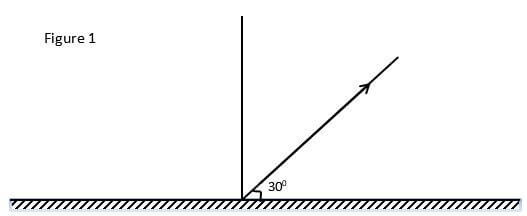 figure 1 suya