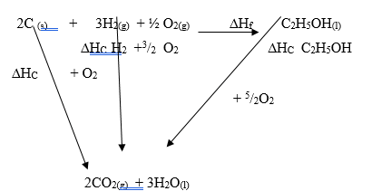 3b