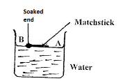 PhycPP1no.2