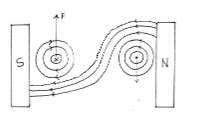 PhycPP2no.1 ms