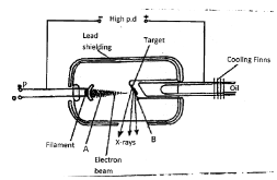 PhycPP2no.14 a