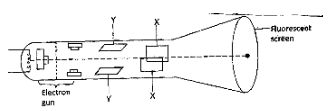 PhycPP2no.16 a