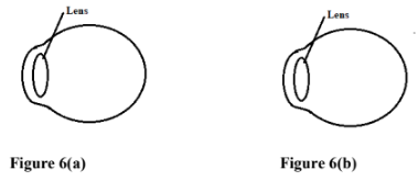 PhysMarF42023PrMP2Q12d