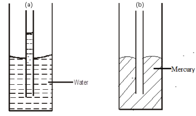 F4PhysMarJMP12023Q5