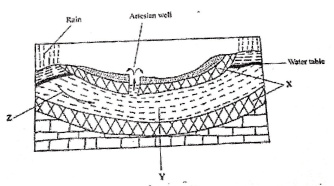 GeoMomaF42023PrMP1Q10