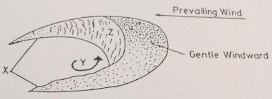 GeoMomaF42023PrMP1Q5