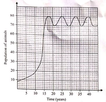 BIOP1qn24