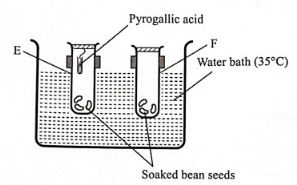 BIOP2qn1