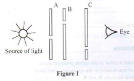 PHYCP2qn1