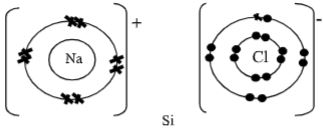 ChemF4OpT122P1qa16a