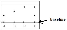 ChemF4OpT122P1qa1d