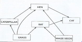 KCSE2022BioP3Q3