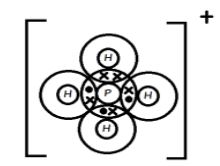 Chemt3Q14