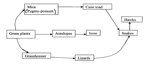 2BIO2