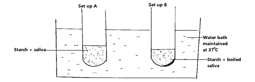 BIO13BIO13