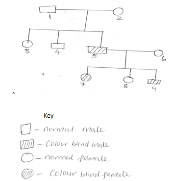 BIO15KEY