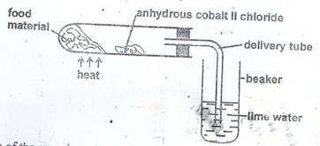 BIO19HUT