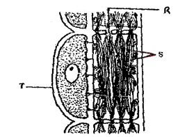 BIO1QDF