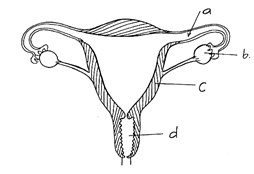 BIO3QDF