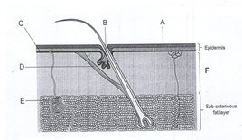 BIO5GREET