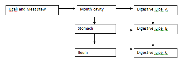 BIO5QDF