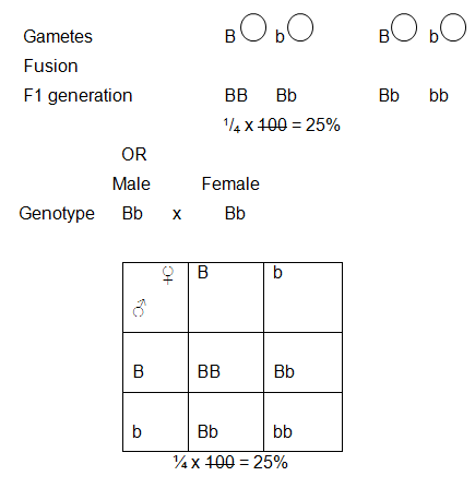 BIOQDF