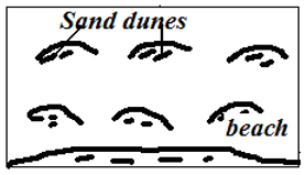 Dune belts.PNG