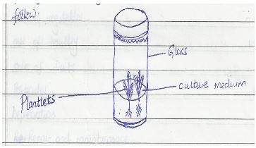 Form3AgricultureT3OP12023Q1