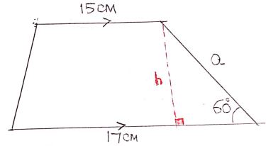 Form3MATHST3OE2023Q20