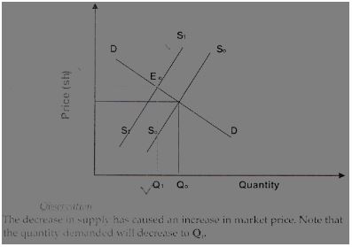 Form3businessT3OP12023Q6