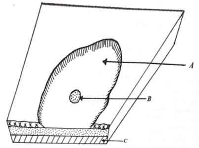 Geo PP1 Q3b PoM21