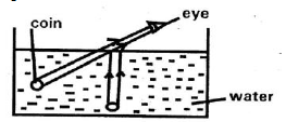 SCIENCE SET 3 Q23