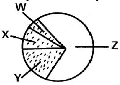 SCIENCE SET 3 Q30