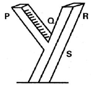 SCIENCE SET 3 Q36