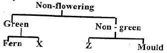 SCIENCE SET 4 Q36