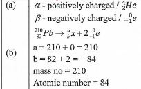 q19 diiyg