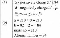 q19 diiyg