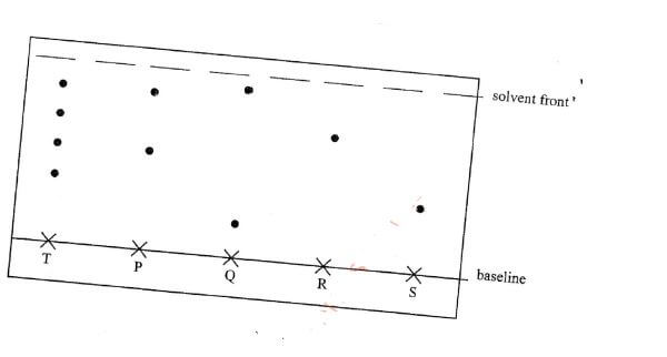 figure 2 jyag