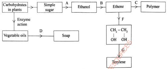 figure 1 kahgdyua