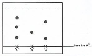 q15 jagda