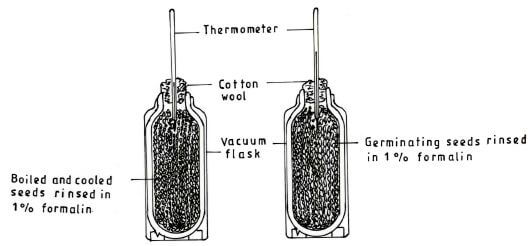 bio 8 akjguyagu