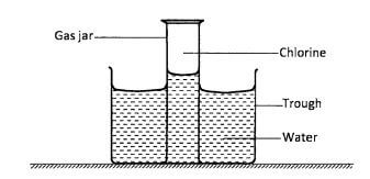 BIO 11 KJHGAD