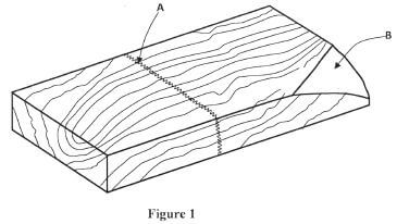 FIG 4 JHAGYTDA